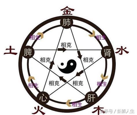 土金行業|五行對應的職業和喜好 屬土的行業種類